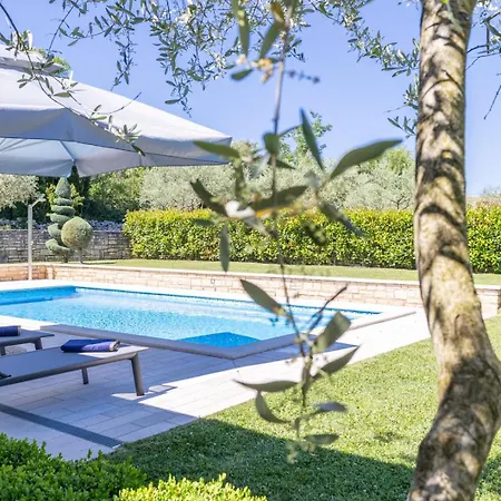Villa Ruza Selina